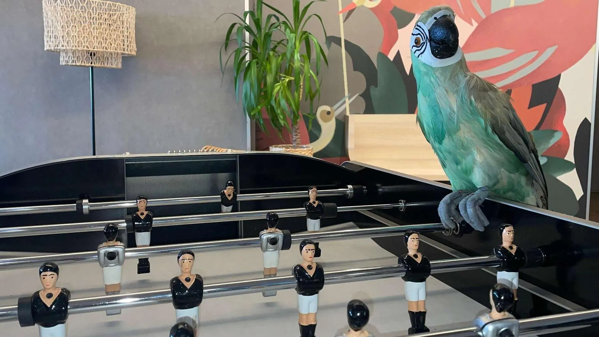 Ibis Styles Rennes Cesson Hotel